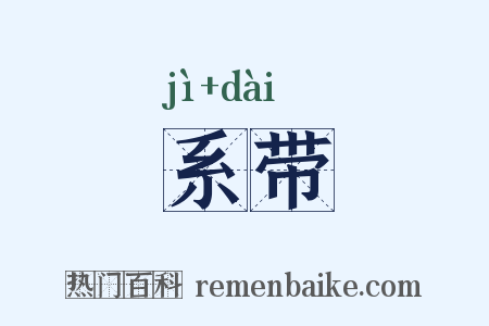 系带是什么意思的图片
